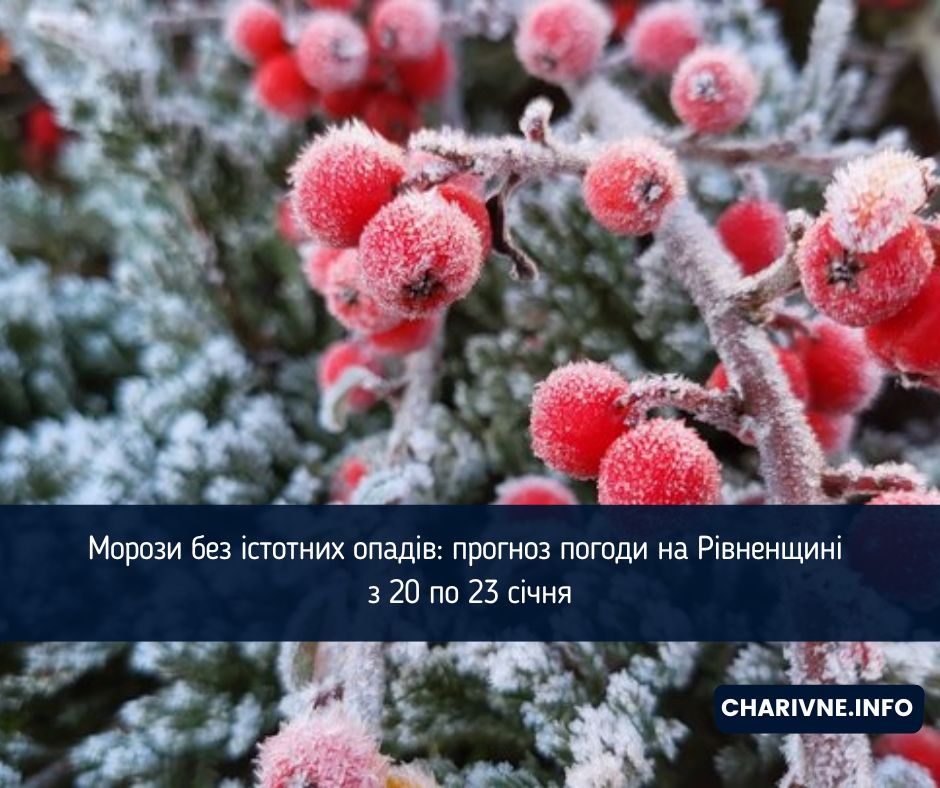 Фото ілюстративне